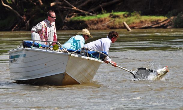 Image: Warren Keelan